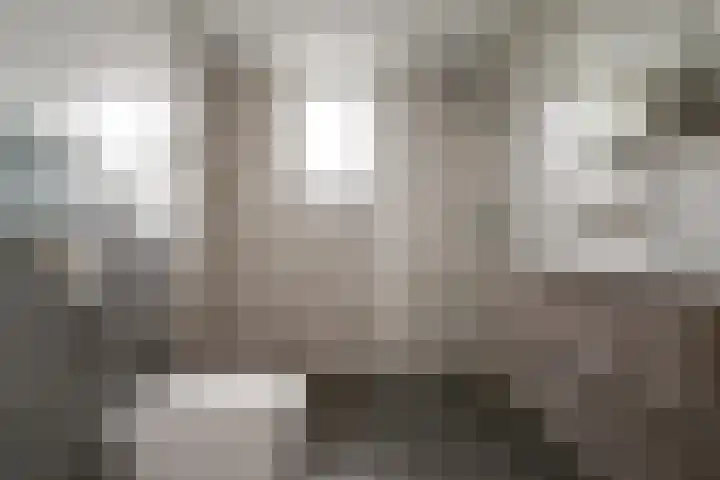 Het Gilde 24 Westervoort thumbnail 37