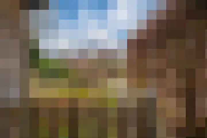 Het Gilde 24 Westervoort thumbnail 45