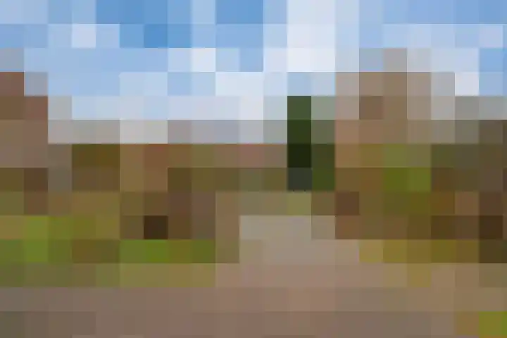Het Gilde 24 Westervoort thumbnail 47