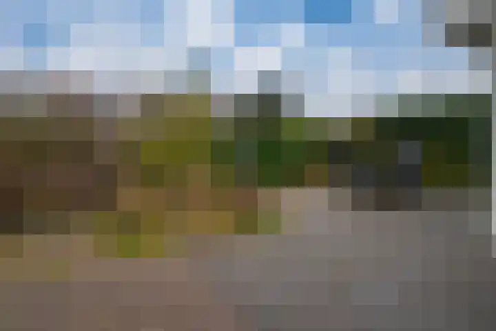 Het Gilde 24 Westervoort thumbnail 50