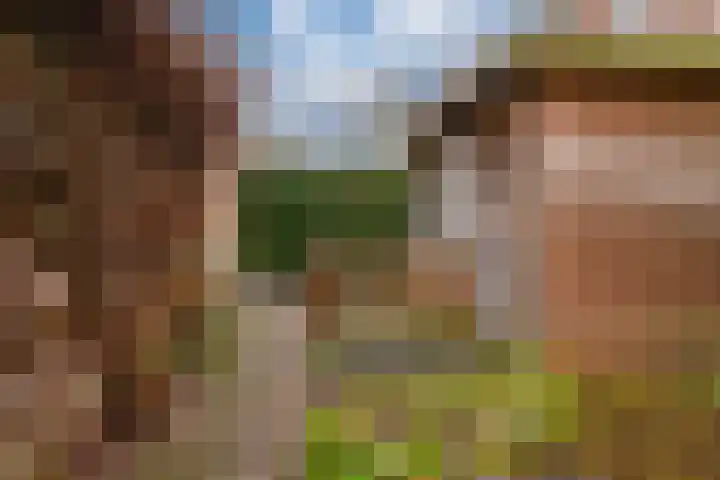 Het Gilde 24 Westervoort thumbnail 55