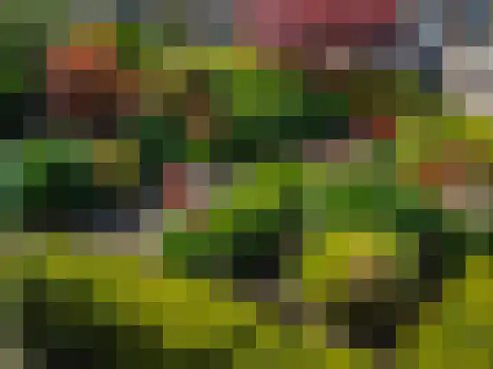Het Gilde 24 Westervoort thumbnail 56