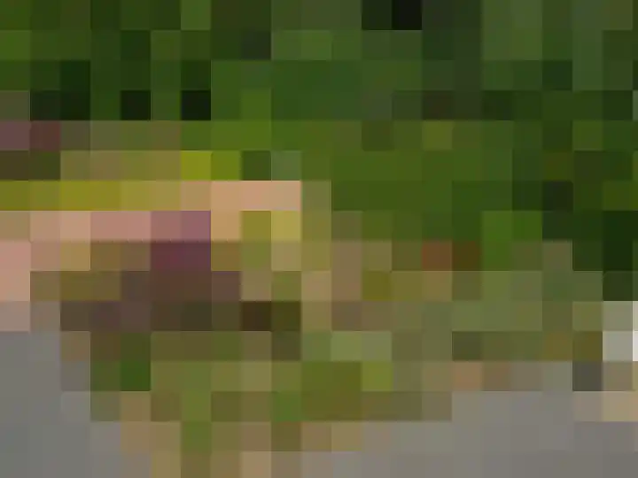 Het Gilde 24 Westervoort thumbnail 58