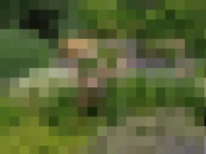 Het Gilde 24 Westervoort thumbnail 59
