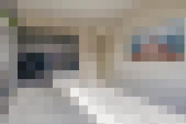 Het Groen 18 b Knegsel thumbnail 17