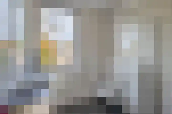 Het Groen 18 b Knegsel thumbnail 20