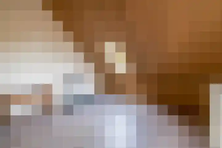 Het Groen 18 b Knegsel thumbnail 22