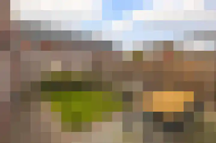 Het Groen 18 b Knegsel thumbnail 24