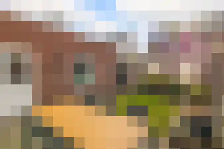 Het Groen 18 b Knegsel thumbnail 25