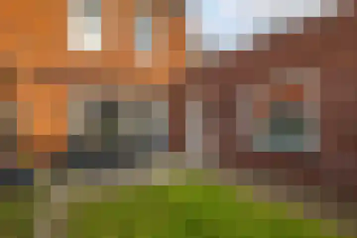 Het Groen 18 b Knegsel thumbnail 27