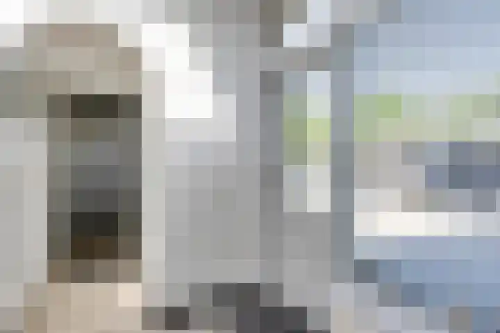 Het Groen 55 A Knegsel thumbnail 11