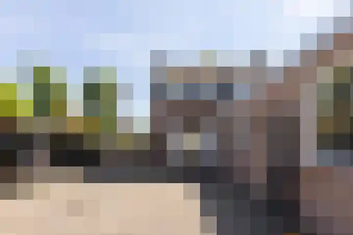 Het Groen 55 A Knegsel thumbnail 26