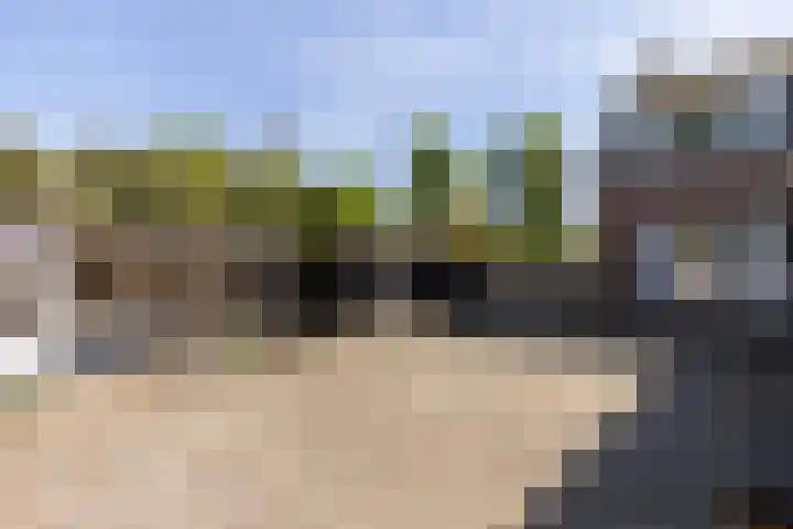 Het Groen 55 A Knegsel thumbnail 27