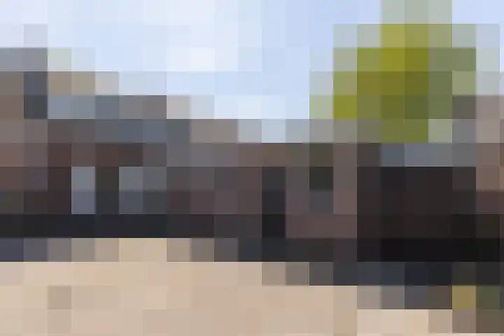 Het Groen 55 A Knegsel thumbnail 29