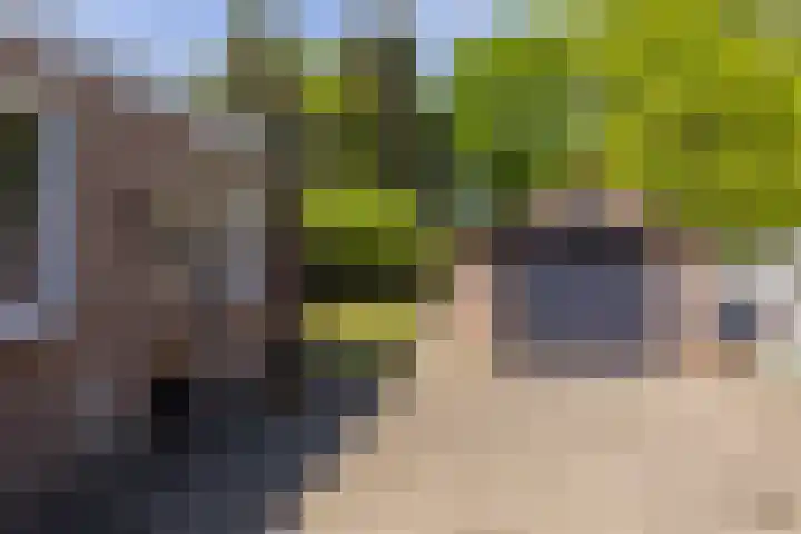 Het Groen 55 A Knegsel thumbnail 30