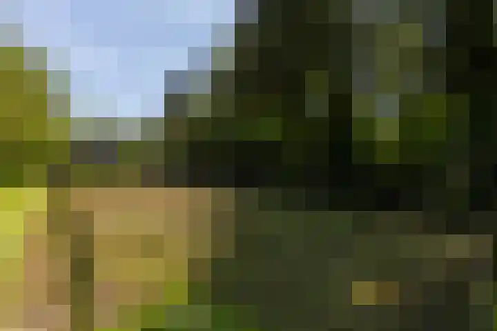 Het Groen 55 A Knegsel thumbnail 37