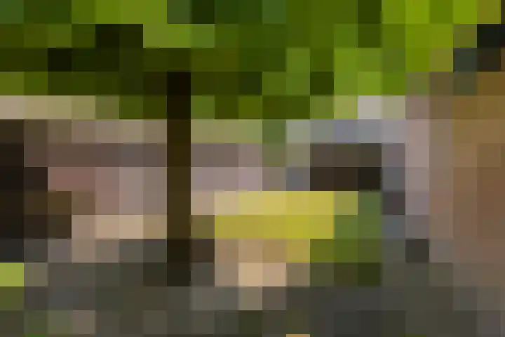 Het Groen 55 A Knegsel thumbnail 38