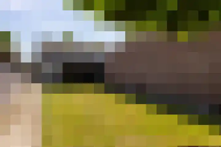 Het Groen 55 A Knegsel thumbnail 39