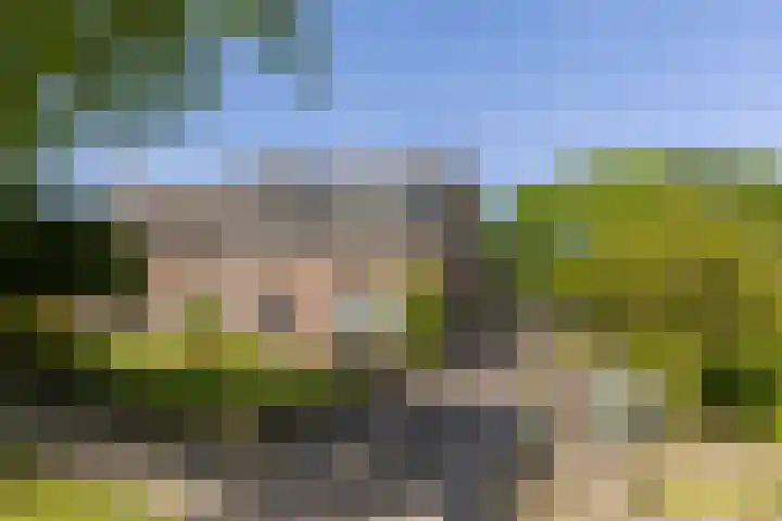 Het Groen 55 A Knegsel thumbnail 49