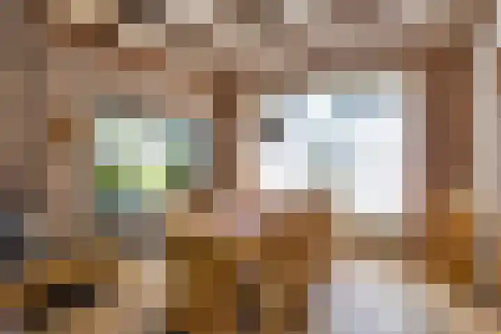 Het Groen 55 A Knegsel thumbnail 5
