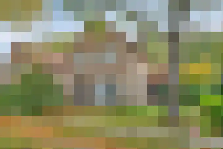 Het Groen 9 Knegsel