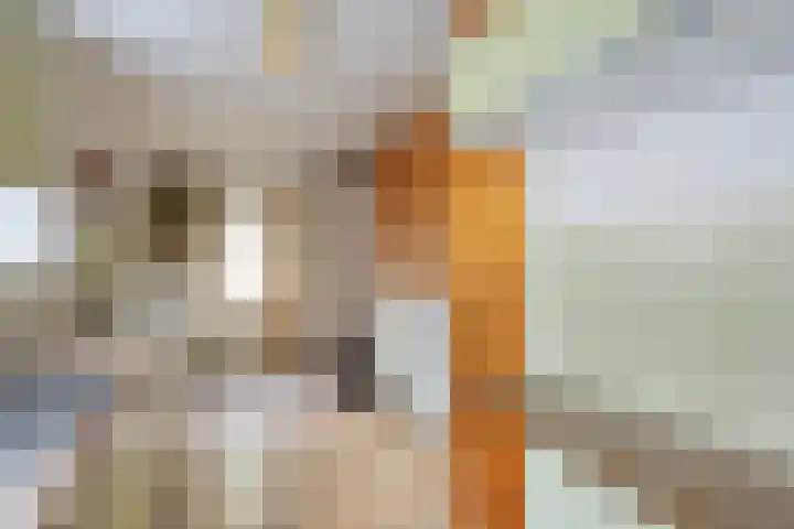 Het Groen 9 Knegsel thumbnail 11