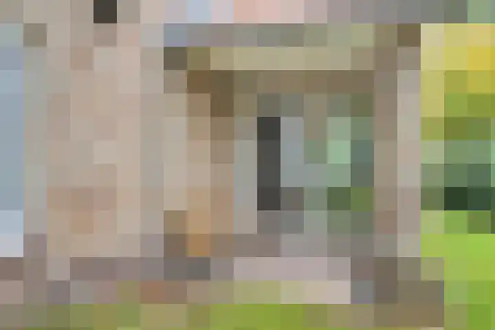Het Groen 9 Knegsel thumbnail 21