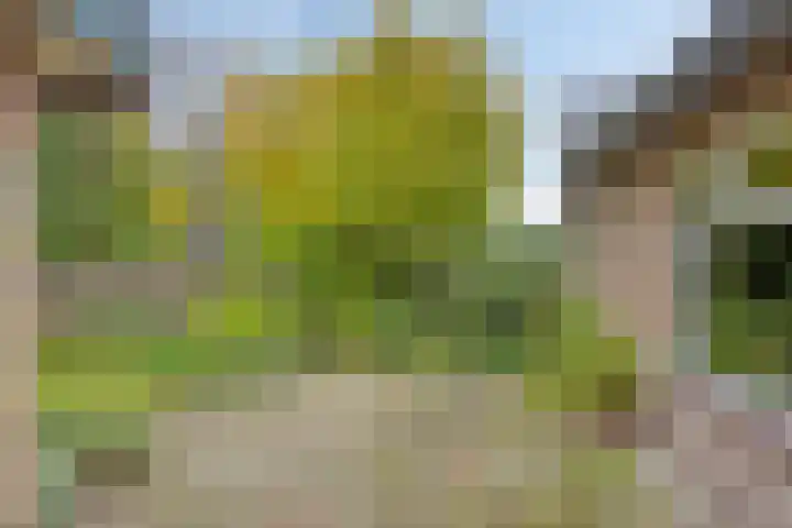 Het Groen 9 Knegsel thumbnail 24