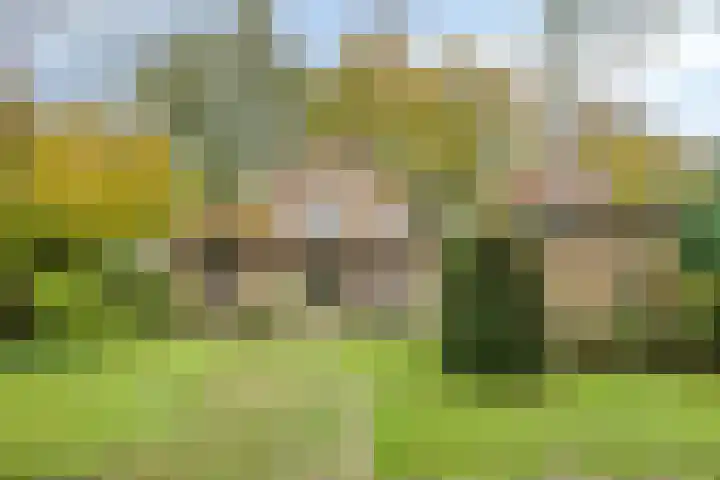 Het Groen 9 Knegsel thumbnail 27