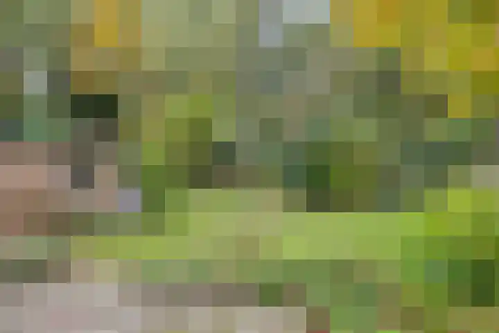 Het Groen 9 Knegsel thumbnail 28