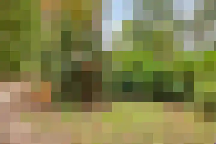 Het Groen 9 Knegsel thumbnail 29