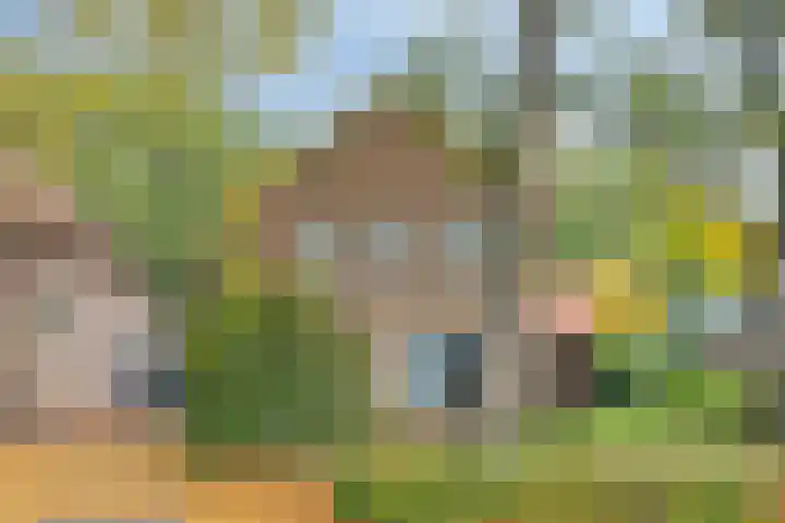 Het Groen 9 Knegsel foto 3