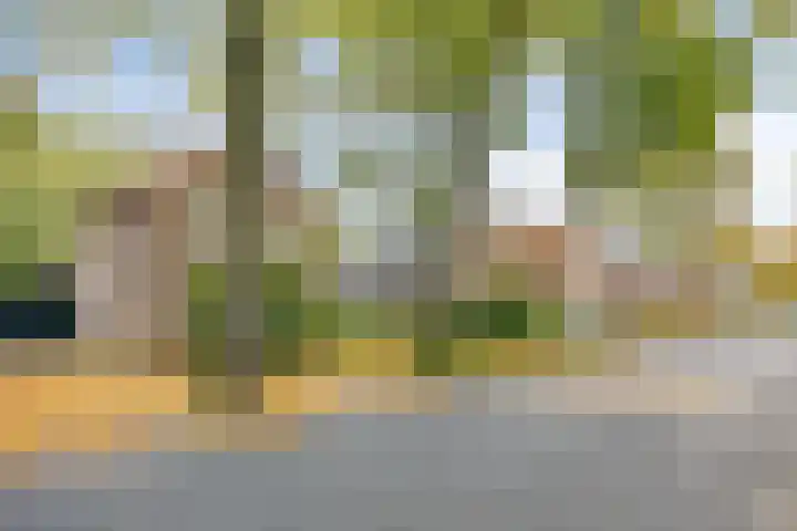 Het Groen 9 Knegsel thumbnail 31