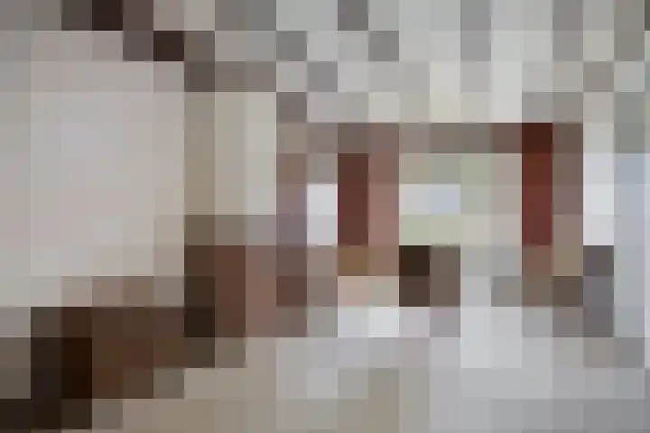 Het Groen 9 Knegsel thumbnail 5
