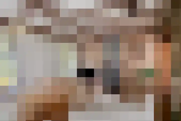 Het Groen 9 Knegsel thumbnail 7