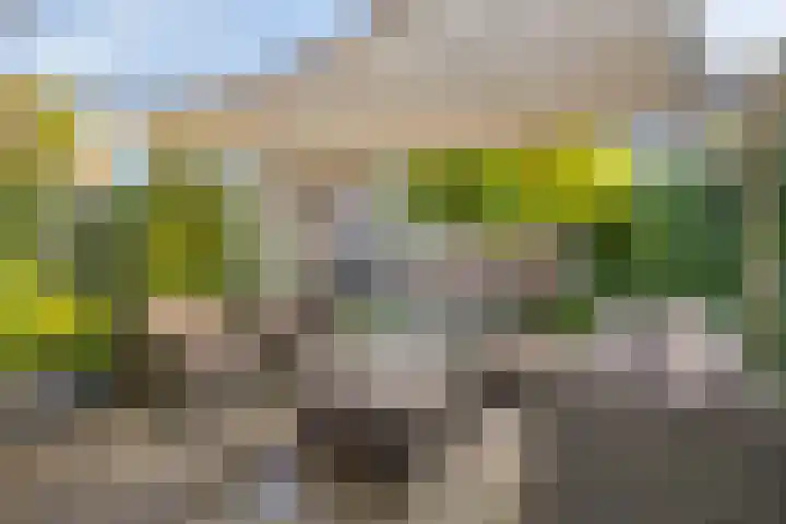 het Gulik 5 Vorden foto 2