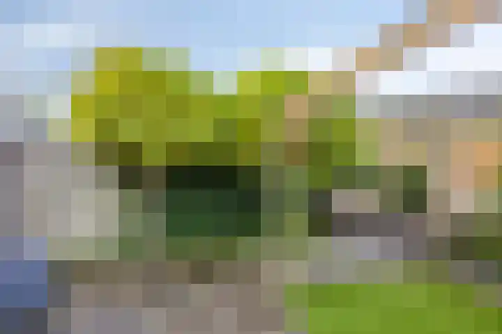 het Gulik 5 Vorden thumbnail 30