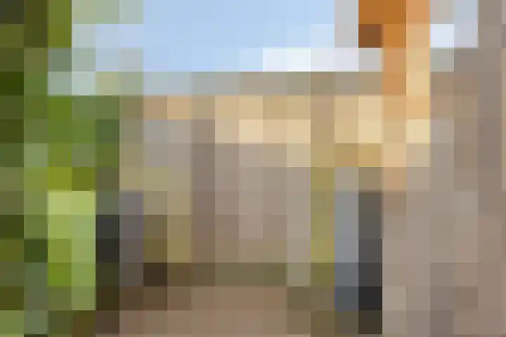 het Gulik 5 Vorden thumbnail 32