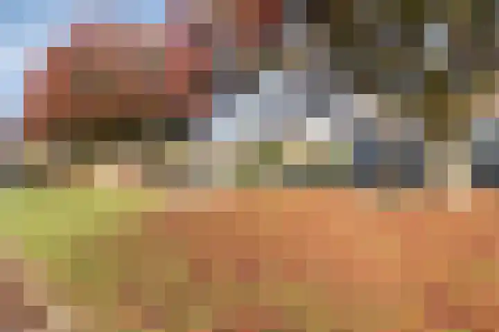 het Gulik 5 Vorden thumbnail 34