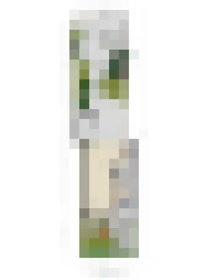 het Gulik 5 Vorden thumbnail 35