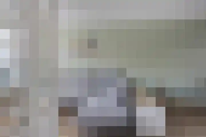het Gulik 5 Vorden thumbnail 5