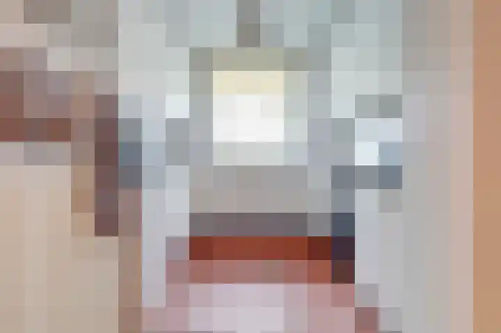 Het Haringvliet 37 Drunen thumbnail 8