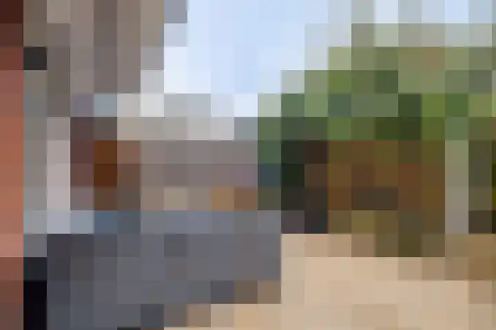 Het Hazenveld 16 Harfsen thumbnail 16