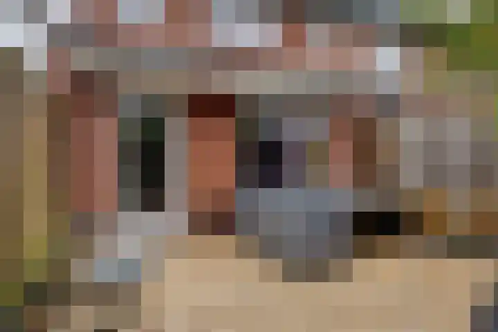 Het Hazenveld 16 Harfsen thumbnail 17