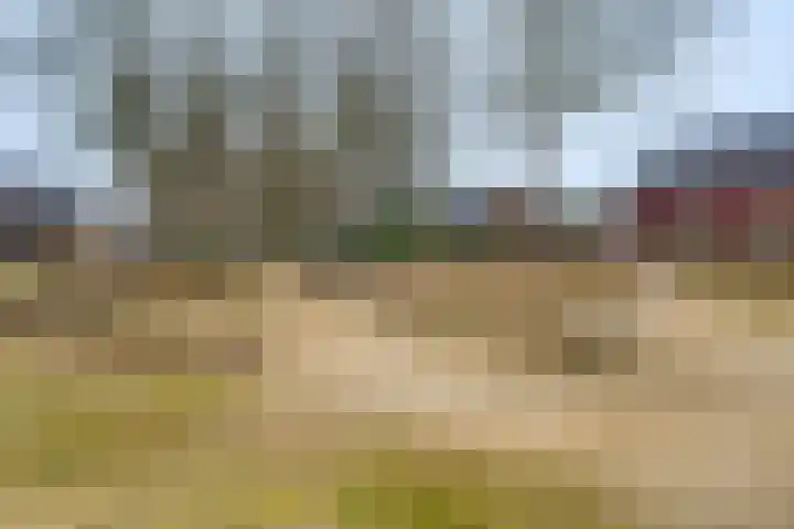 Het Hazenveld 16 Harfsen foto 2