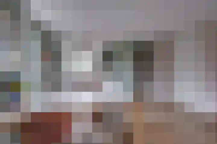 Het Hazenveld 56 Harfsen thumbnail 11