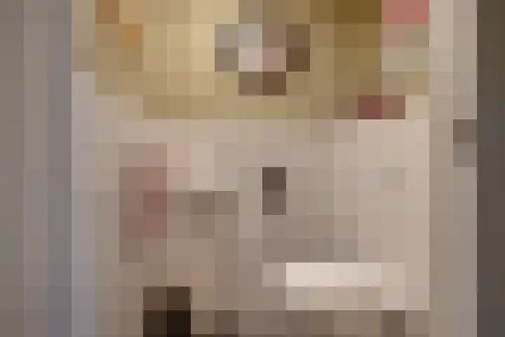 Het Hazenveld 56 Harfsen thumbnail 12