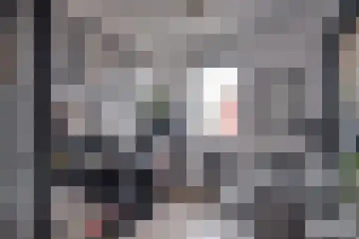 Het Hazenveld 56 Harfsen thumbnail 15