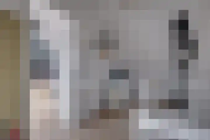 Het Hazenveld 56 Harfsen thumbnail 18