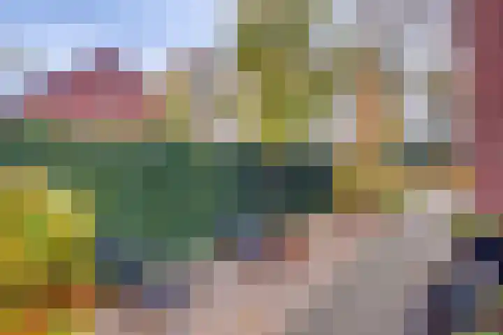 Het Hazenveld 56 Harfsen thumbnail 23